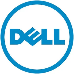 Dell-Imsourcing 300 Gb Hard Drive – 2.5″ Internal – Sas (6Gb/S Sas)