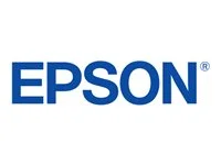 Epson UltraChrome PRO 770 Original Inkjet Ink Cartridge – Gray Pack