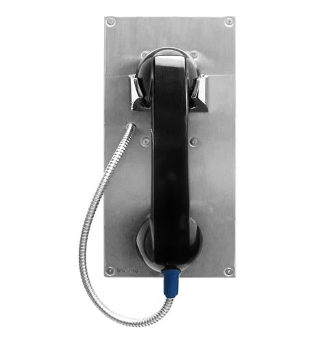 Hot-Line Stainless Steel Panel Phone EWP VK-K-1900-712L-EWP
