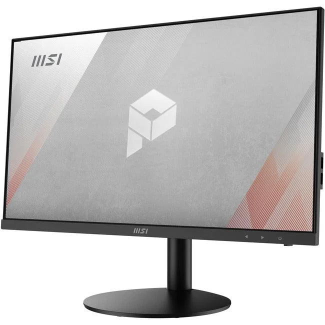 Pro Ap241Z 5M-074Us 23.8 Inch R5 Vega7